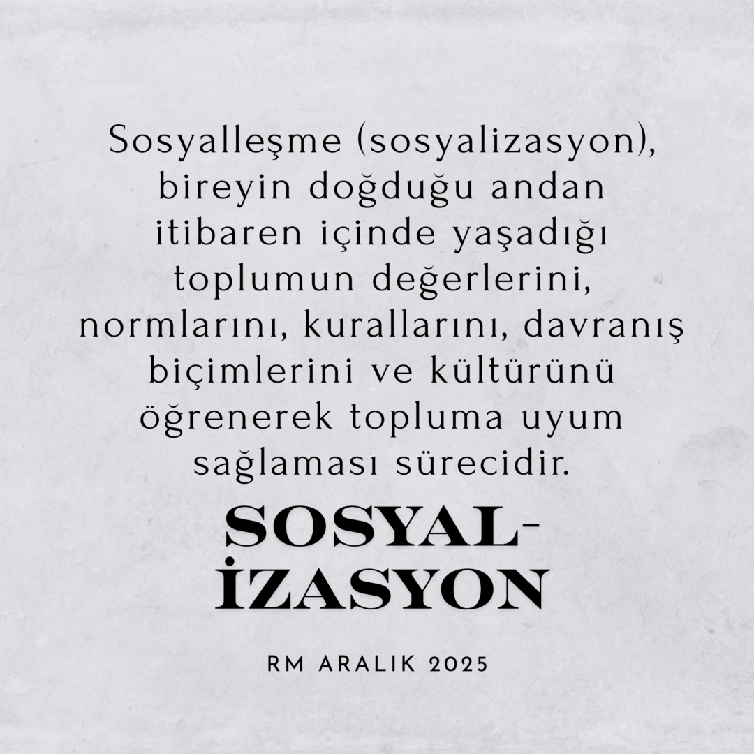 Sosyalizasyon
