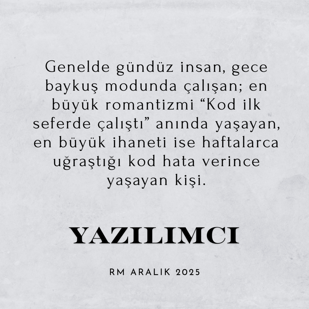 yazılımcı